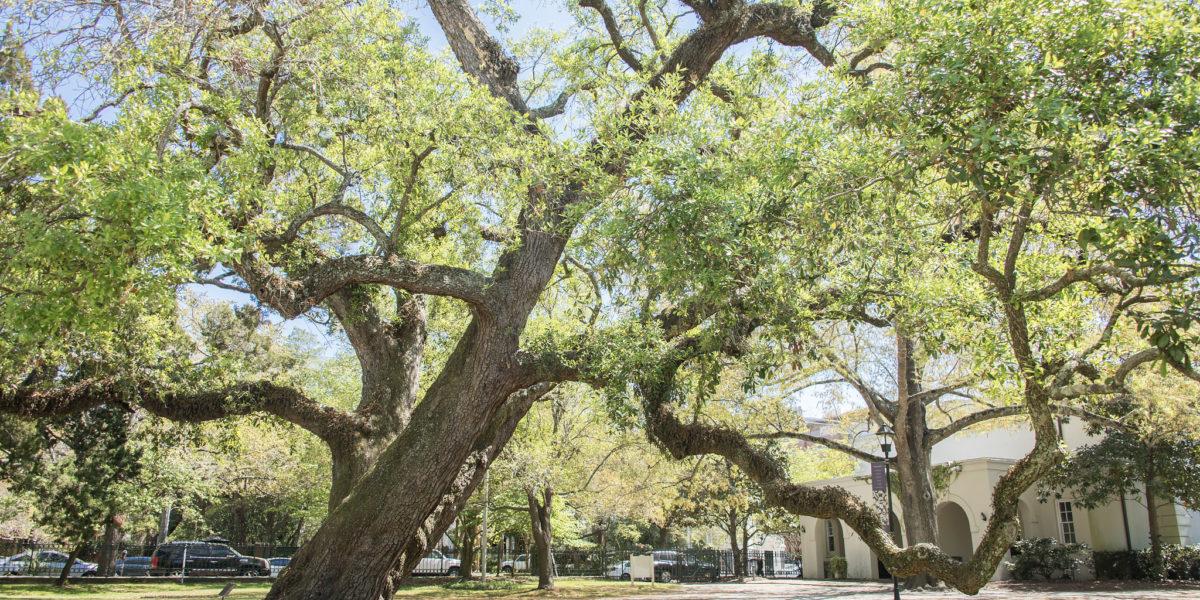 十大最好的网赌平台校园 | Private School in Charleston, SC